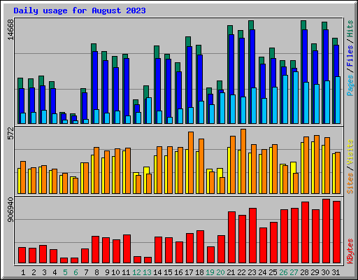 Daily usage for August 2023