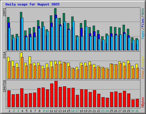 Daily usage for August 2025