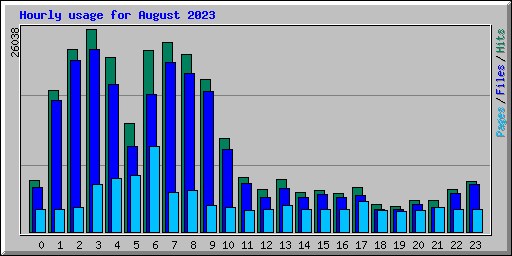 Hourly usage for August 2023