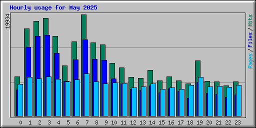 Hourly usage for May 2025