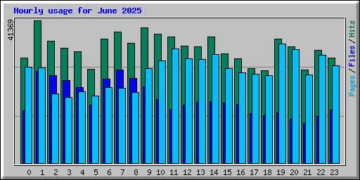 Hourly usage for June 2025
