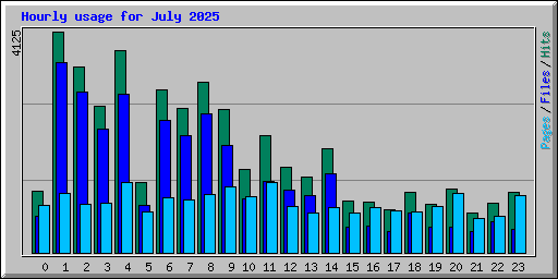 Hourly usage for July 2025