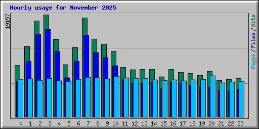Hourly usage for November 2025