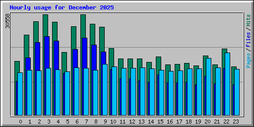 Hourly usage for December 2025