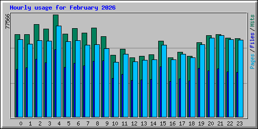 Hourly usage for February 2026