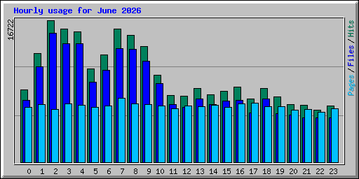 Hourly usage for June 2026