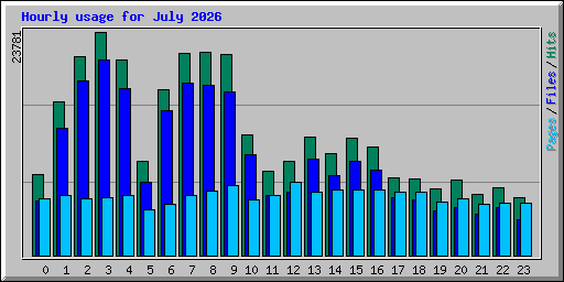 Hourly usage for July 2026