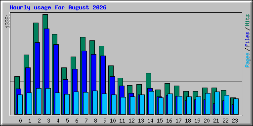 Hourly usage for August 2026